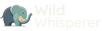 Wild Whisperer